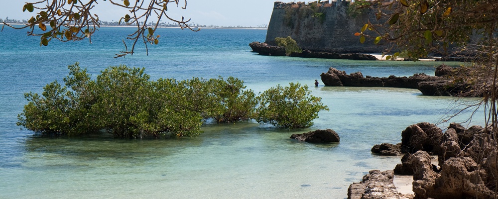 Island of Mozambique